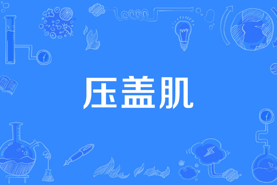 壓蓋肌 壓蓋肌
