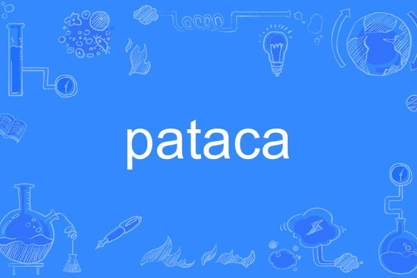 pataca pataca