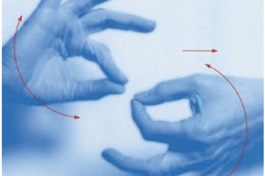 The Linguistics of British Sign Language The Linguistics of British Sign Language