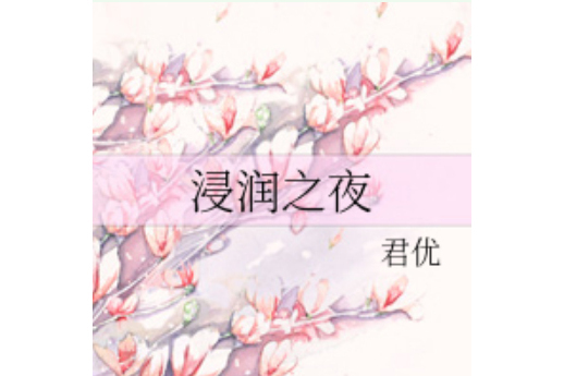 浸潤之夜 浸潤之夜