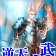 逆天之武 逆天之武