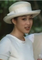 流氓醫生(1995年李志毅執導電影)