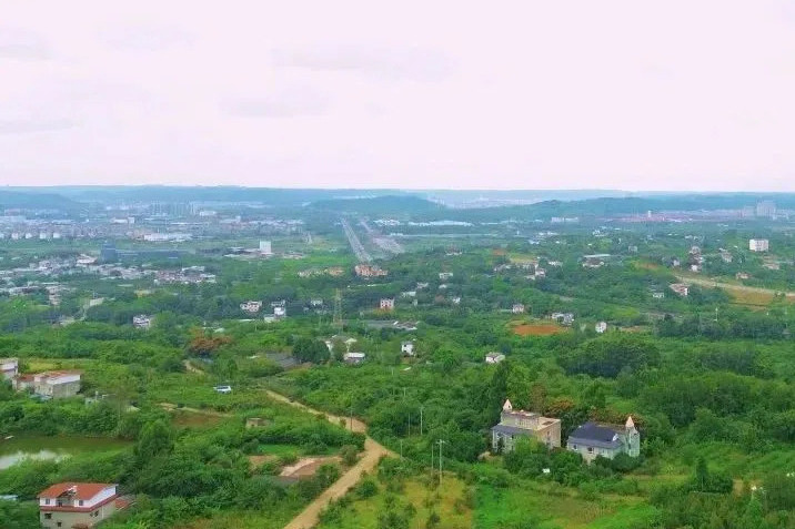 戈家廟村 戈家廟村