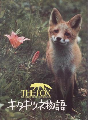 比爾·奈伊 比爾·奈伊