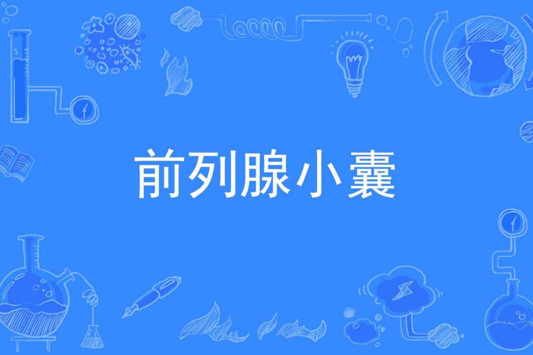前列腺小囊 前列腺小囊