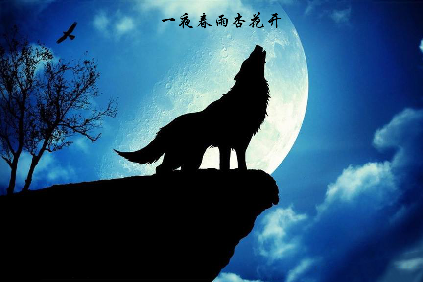 離人歸否 離人歸否