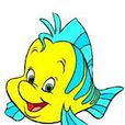 flounder flounder