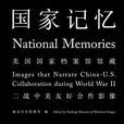 國家記憶(2016年中信出版集團出版圖書)