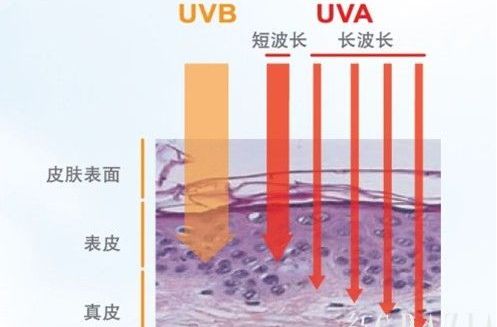 UVA/UVB UVA/UVB