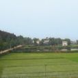 紫雲村(湖南省寧鄉市歷經鋪街道下轄村) 紫雲村(湖南省寧鄉市歷經鋪街道下轄村)