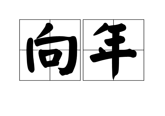向年 向年