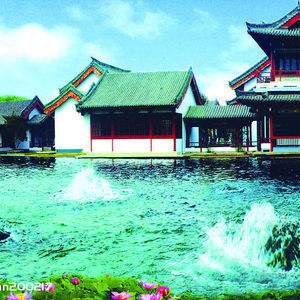 梅花泉 梅花泉