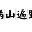 滿山遍野 滿山遍野