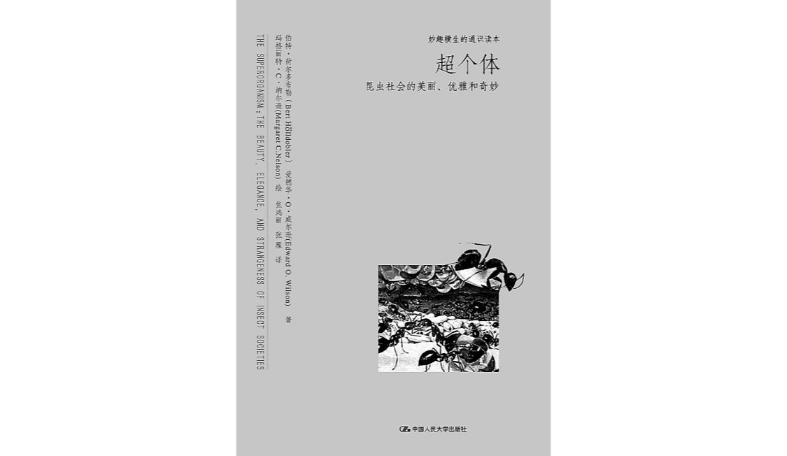 超個體(中國人民大學出版社出版圖書)