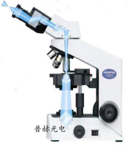 奧林巴斯顯微鏡CX21