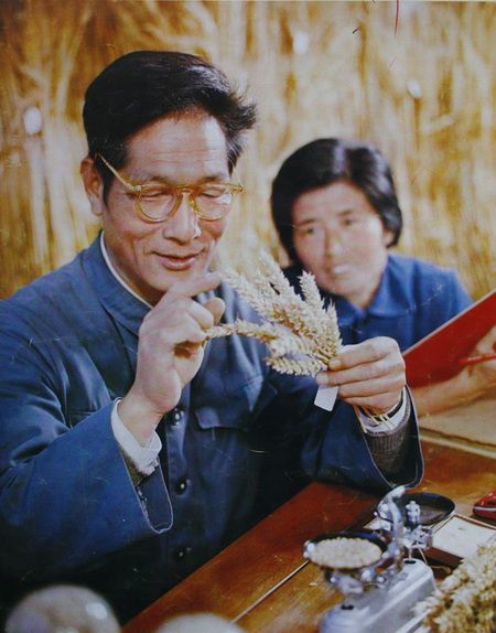 趙仲修 趙仲修