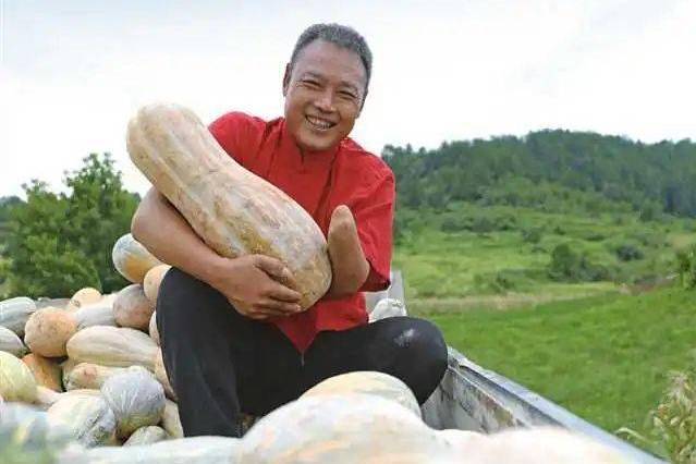 楊忠(彭水苗族土家族自治縣桐樓鄉桐木村村民) 楊忠(彭水苗族土家族自治縣桐樓鄉桐木村村民)