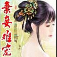 棄妾難寵 棄妾難寵