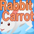 Rabbit Carrot