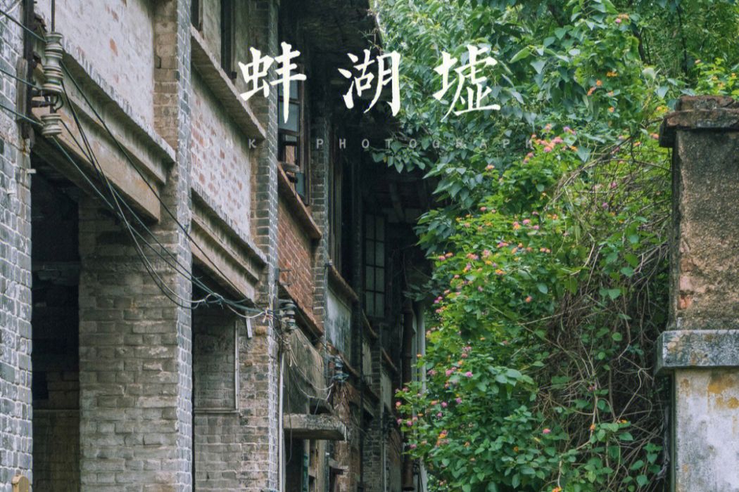 蚌湖圩 蚌湖圩