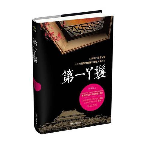 第一丫鬟(2016年當代世界出版社出版的圖書) 第一丫鬟(2016年當代世界出版社出版的圖書)