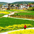 社東村(江蘇省南京市溧水縣石湫鎮下轄村) 社東村(江蘇省南京市溧水縣石湫鎮下轄村)
