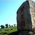黃泥崗鎮(原黃堆集鄉更名為黃泥岡鎮) 黃泥崗鎮(原黃堆集鄉更名為黃泥岡鎮)
