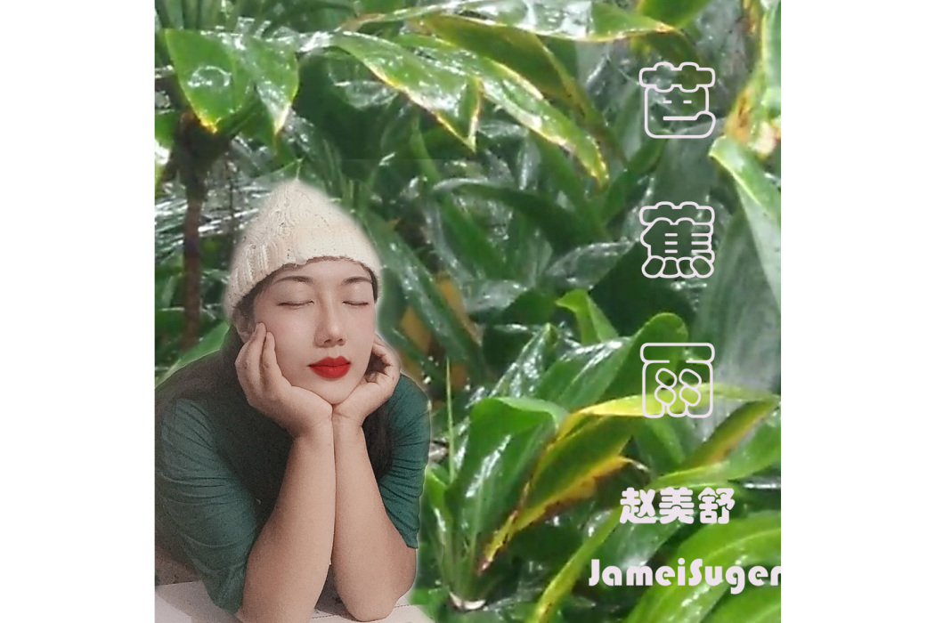 芭蕉雨(趙美舒的歌曲) 芭蕉雨(趙美舒的歌曲)