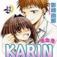 KARIN增血鬼12 KARIN增血鬼12
