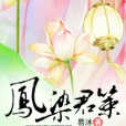 鳳染君策 鳳染君策