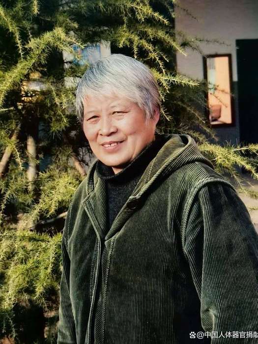 楊華(中國邯鄲市復興區下莊學校模範教師)