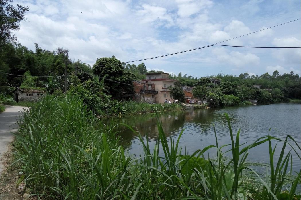 龍下(廣東省江門市開平市赤坎鎮塘美村下轄自然村) 龍下(廣東省江門市開平市赤坎鎮塘美村下轄自然村)