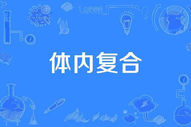 體內複合 體內複合