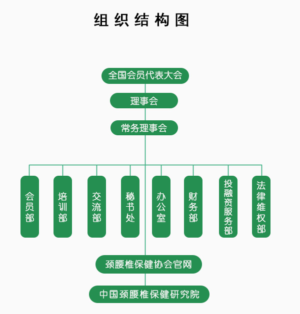 中國頸腰椎保健協會框架圖