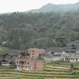 大元村(貴州省松桃苗族自治縣普覺鎮下轄村) 大元村(貴州省松桃苗族自治縣普覺鎮下轄村)