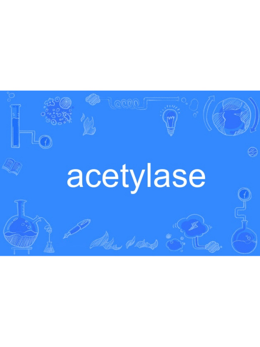 acetylase acetylase