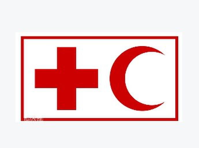 紅十字會與紅新月會國際聯合會(國際紅十字會與紅新月會聯合會)