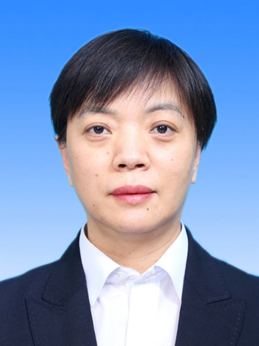 夏冬梅(山東省濟南市平陰縣審計局黨組書記、局長) 夏冬梅(山東省濟南市平陰縣審計局黨組書記、局長)