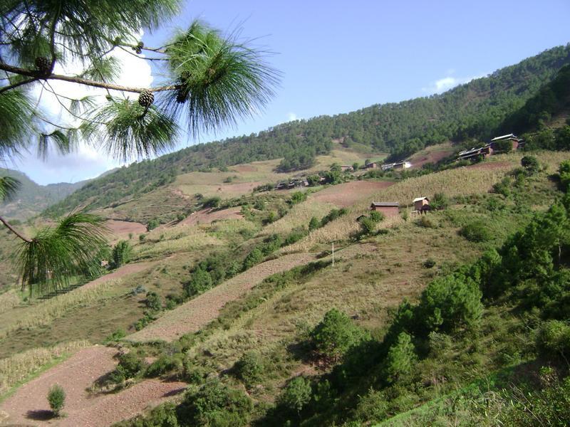 小石房村(五頂山鄉下轄村) 小石房村(五頂山鄉下轄村)