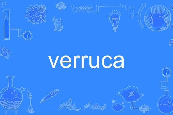 verruca verruca