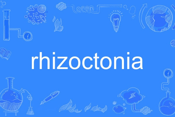 rhizoctonia rhizoctonia