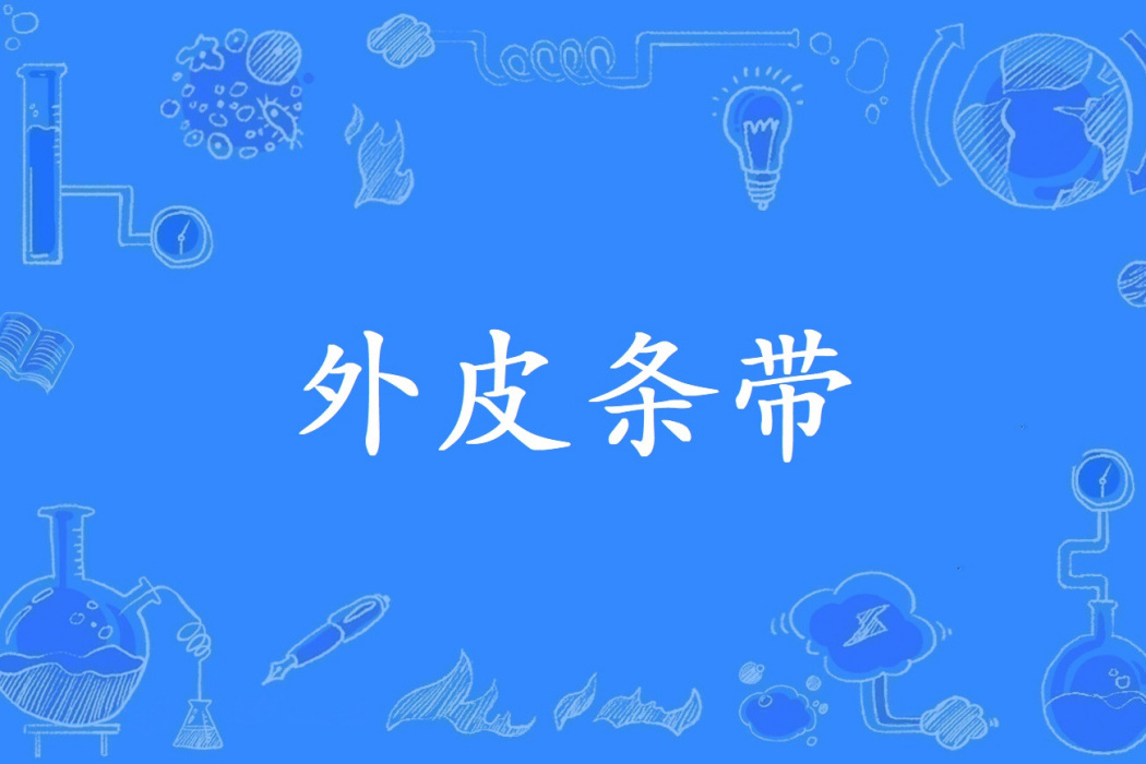 外皮條帶 外皮條帶