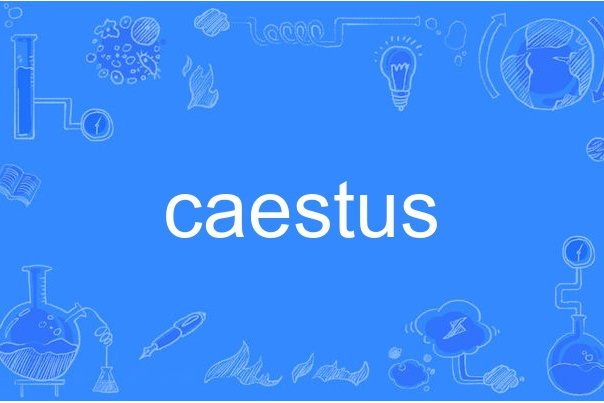 caestus caestus