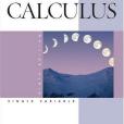 Calculus Late Transcendentals Single Variable