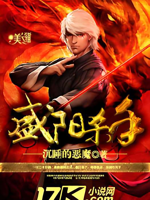 盛陽殺手 盛陽殺手