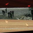平衡(2002年彭輝執導的紀錄片) 平衡(2002年彭輝執導的紀錄片)