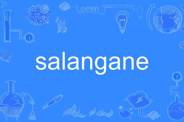 salangane salangane