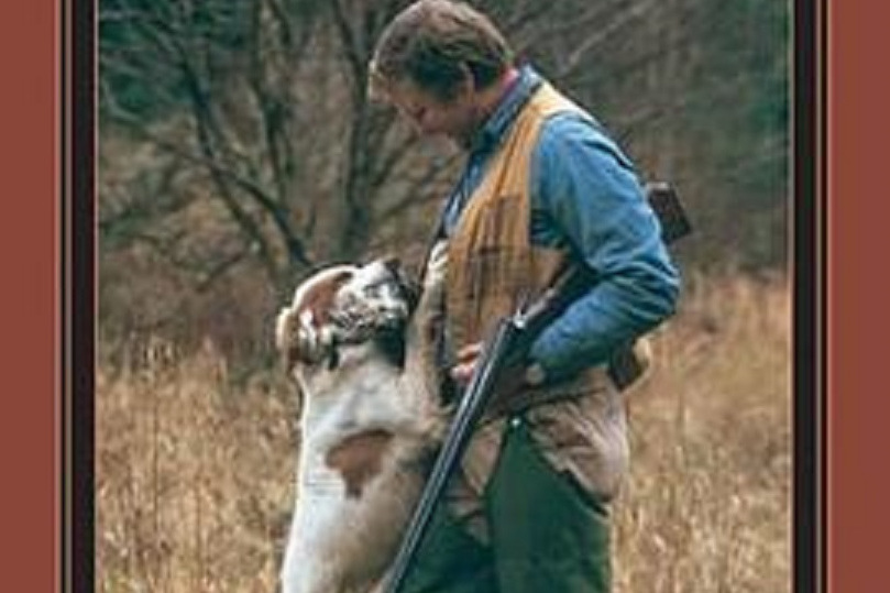 The Ultimate Guide to Bird Dog Training The Ultimate Guide to Bird Dog Training