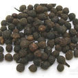 樟樹子(樟樹子) 樟樹子(樟樹子)