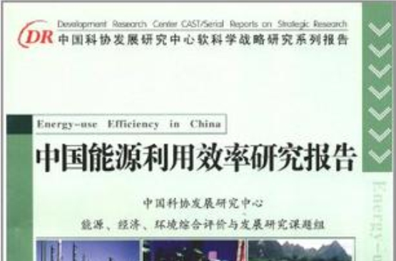 中國能源利用效率研究報告
